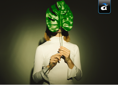 Growth Mindset Practices for AI Development, Custom WordPress, and Software Success