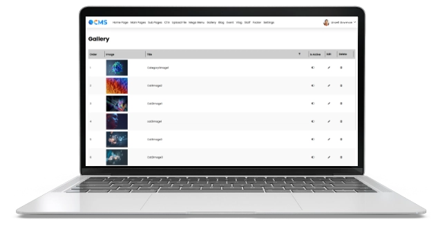 CMS Bilingual Configuration