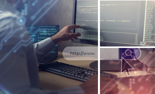 Custom WordPress Theme Development For Branding
