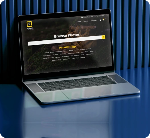 DollarPic Online Retail Store eCommerce Development