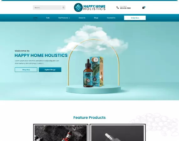 website design company