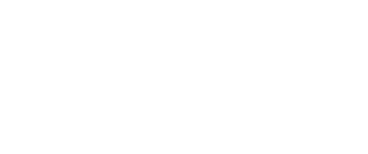 WordPress development services showcasing our expertise